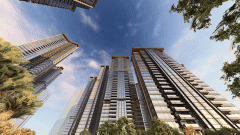 不少开辟商也借此机遇将项目营销勾当取龙舟勾